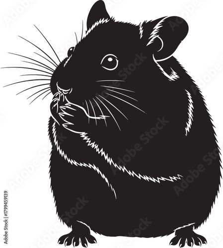 Vector illustration of a cute cartoon mammal animal silhouette of a mouse and squirrel