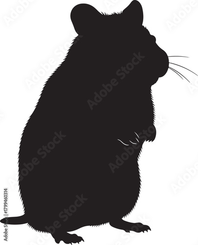 Cute black cat sitting vector drawing illustration silhouette isolated on white background