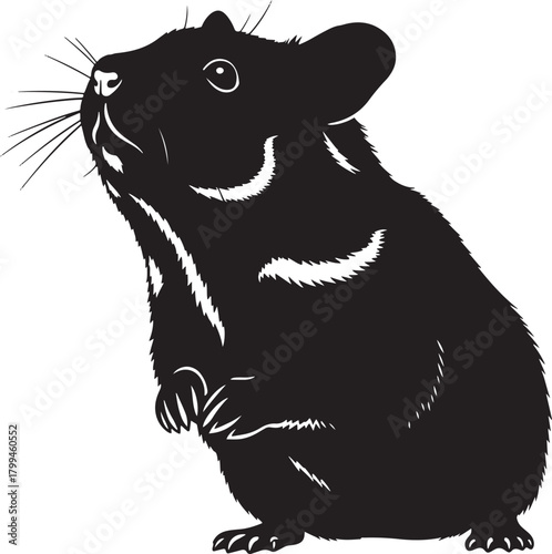 Cartoon vector illustration of wild animal heads: bear and hippopotamus, with elements of cat, dog, wolf, tiger, and lion