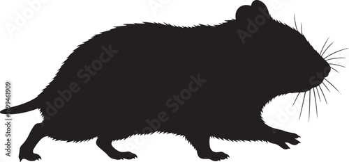 Black cat silhouette vector illustration, a design symbol for a wild animal mammal