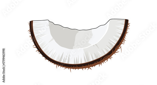 Coconut Slice: Fresh Tropical Delicious and Nutritious Food.