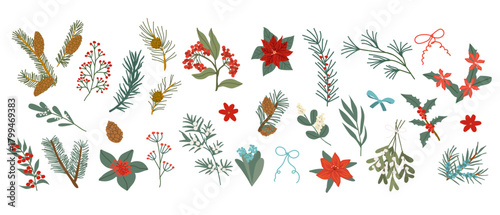 Winter christmas plants set. Vector illustration of amaryllis, cotoneaster, snowberry, poinsettia, mistletoe, holly berry, juniper. Winter flowers and evergreen tree spruce, fir, pine branches, cones.