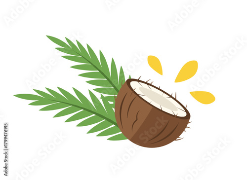 A refined natural illustration featuring a cracked coconut, palm fronds, and blooming flowers set against a white backdrop, depicting an organic edible tropical fruit or drupe in a hand‑drawn retro