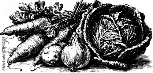 Vintage engraving set of various vegetables, including cabbage, carrot, and onion. A detailed black outline vector illustration showcasing fresh produce.
