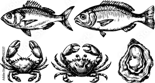 Illustration of various seafood, including fish, crab, oyster, and shellfish. Detailed vector illustration suitable for menus or culinary graphics.