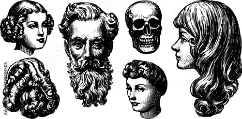 Engraving set featuring antique silhouettes of various heads. Vintage illustrations showcasing male and female profiles in black outline vector style.