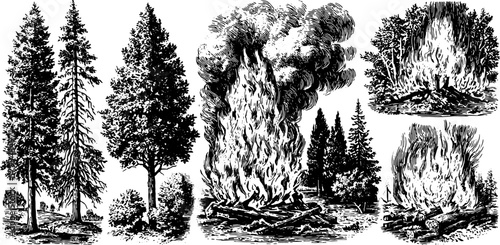 Fire and trees in vintage engraving style. Hand-drawn vector illustration featuring a set of campfire, logs, and smoke in a natural outdoor scene.