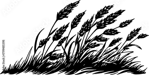 Vintage engraving of grass and weeds in black outline style. This vector illustration captures the essence of botanical elements in a simple design.