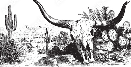 Cow skull with large horns among cacti and desert plants. Vintage black and white landscape vector illustration.