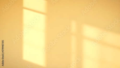 햇살들어오는 화이트 스튜디오 a sunny white studio