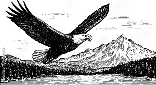 Eagle in flight over a mountainous landscape. Vintage black and white outline drawing, detailed scenery and natural elements, vector illustration.