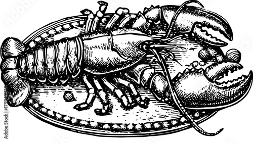 Lobster vintage line drawing in black and white. Intricate outline illustration set for culinary contexts. Classic vector artwork.