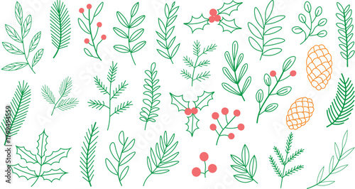 Christmas flower set and plant leaf.  Holly flowers, Christmas tree leaves, and winter branch features in a hand-drawn doodle.  Doodle a rustic wreath for a holiday decoration.  Vector illustration