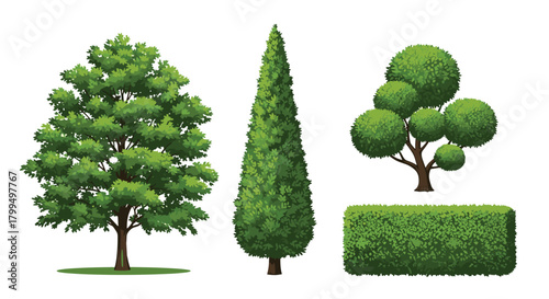 A diverse collection of green trees and garden hedges, featuring a classic deciduous tree, tall cypress, topiary, and a neat hedge for landscape design elements.
