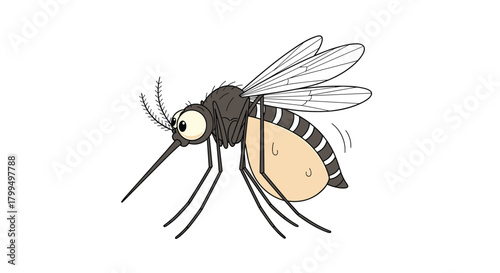 A cartoon illustration of a mosquito with a full belly, wings in motion, and a long proboscis, flying against a white background.