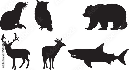Silhouettes of Various Animals on White Background