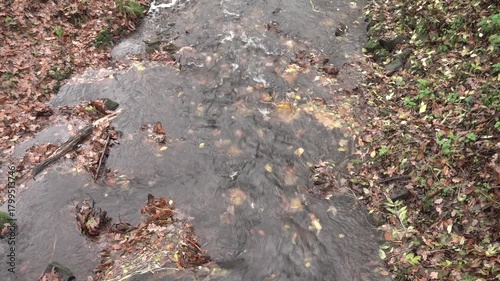 Clear water flows over leaves in a peaceful stream surrounded by autumn trees