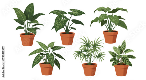 An illustrative set of six popular potted indoor plants, featuring different foliage types and green hues, isolated on a white background.
