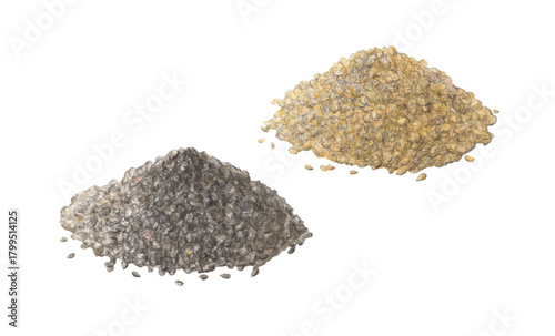 白ゴマと黒ゴマ　水彩色鉛筆イラスト