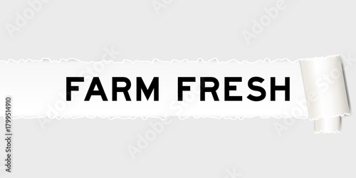 Foto Ripped gray paper background that have word farm fresh under torn part