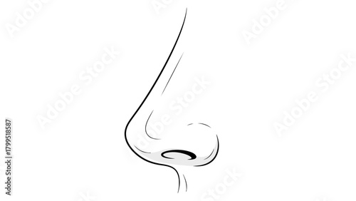 Minimalist line drawing of a human nose
