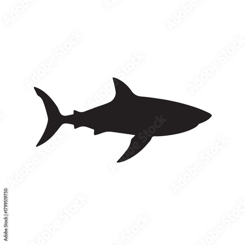 Shark vector illustration isolated on white background swimming in ocean