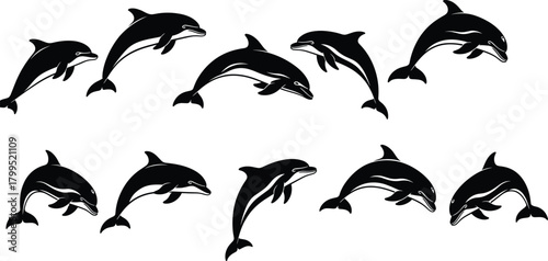 Dolphin silhouette vector set, black and white illustration, marine animal poses, ocean wildlife design, swimming motion template, aquatic icon artwork