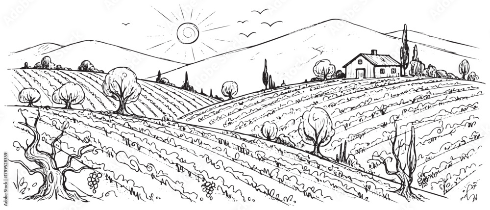 Fototapeta premium A black and white drawing of a farm with a sun in the sky. The sun is shining on the hills and the trees