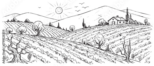 A black and white drawing of a farm with a sun in the sky. The sun is shining on the hills and the trees