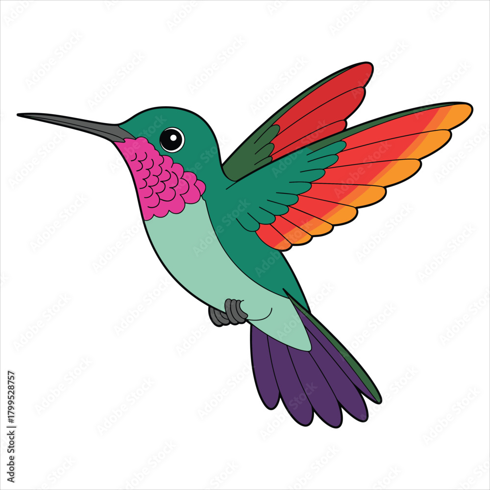 Obraz premium Vibrant cartoon hummingbird vector art illustration graphic design isolated on white background, Vector, illustration