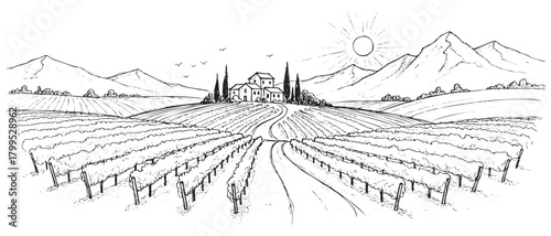 A black and white drawing of a vineyard with a sun in the sky. The sun is shining on the hills and the vineyard