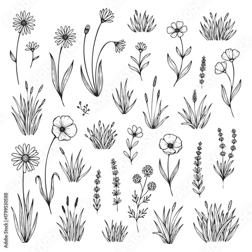 A collection of black and white flowers and grasses. The flowers are drawn in a stylized way, with some appearing to be in motion. Scene is serene and peaceful, with the flowers