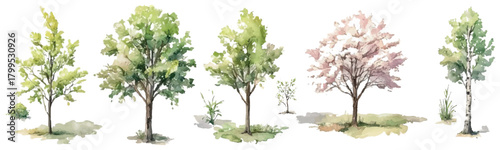 A series of trees are shown in different stages of growth, with some in full bloom and others still budding. The trees are arranged in a row, with some closer together and others further apart