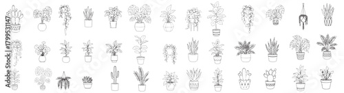 A collection of potted plants in various sizes and shapes. The plants are all black and white, giving the image a minimalist and modern feel. The arrangement of the plants creates a sense of depth