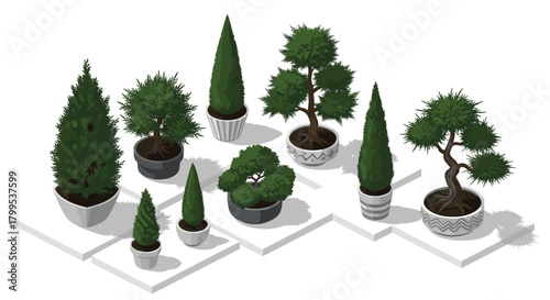 Charming collection of potted bonsai trees perfect for adding a touch of zen to any modern interior or landscape design project beautifully