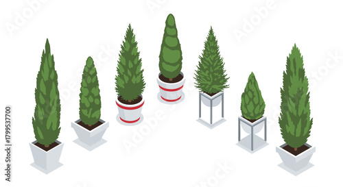 Elegant cypress trees in modern planters for stylish landscaping projects and interior design accents add a touch of nature to any space