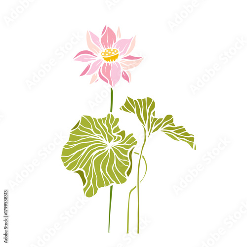 Colorful aquatic plant, lotus flower. Decorative botanical element. Vector graphics.