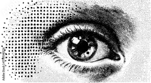 Human eye in monochrome style. Detailed graphic illustration set featuring intricate lines and textures. Classic vintage vector representation.