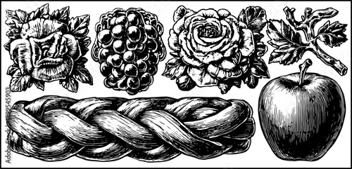 Antique engraving of rosettes, grapes, and an apple. Hand-drawn illustrations with intricate details in a vintage style. Classic decorative vector illustration set.