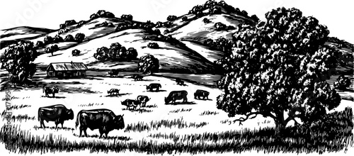 Bison grazing in a vintage landscape. Detailed black outline vector illustration of rural scenery with hills, trees, and a farm set.