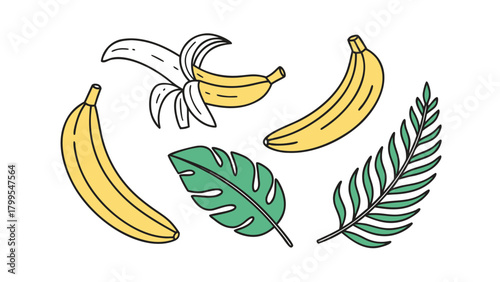 Hand drawn illustration of bananas and tropical leaves on white background fruit