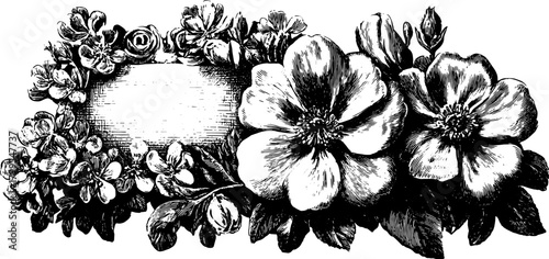 Antique engraved floral design with a decorative border. This detailed black line drawing features a set of hand-drawn flowers in a vintage vector illustration.
