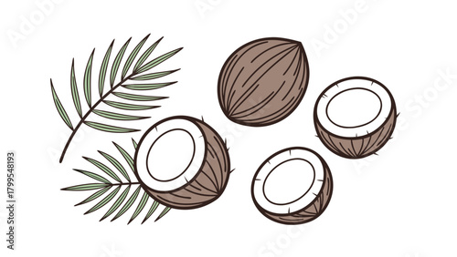 One Whole Coconut and Three Halved Coconuts with Green Palm Leaves Keywords: coconut, coconuts, whole coconut, halved coconut, tropical fruit, palm