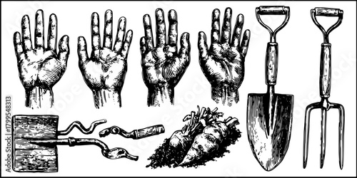 Set of hands and gardening tools: shovel and fork with carrots. Vintage vector illustration depicting agriculture and horticulture elements.
