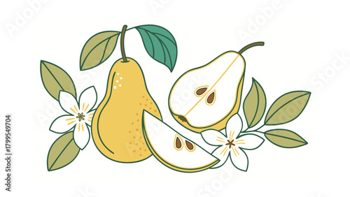 Pear Fruit and Flower Arrangement with Leaves on White Background Keywords: pear, fruit, whole pear, half pear, pear slice, flower, blossom, leaf