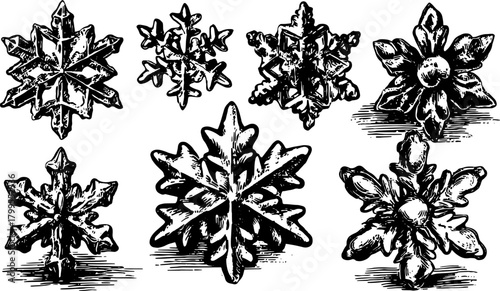 Detailed snowflake engravings in a vintage style. Black outline drawings represent intricate patterns in a decorative vector illustration set.