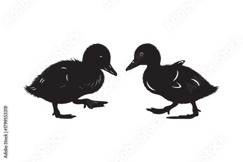 Two silhouetted ducklings walking together on a white background