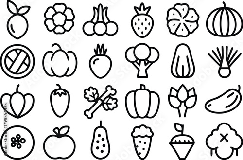 Healthy food icons of fruits, vegetables and herbs for healthy diet