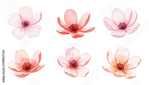 Cherry blossom flowers in soft pink tones. Gentle watercolor petals reflect spring and renewal. Ideal for Asian art, nature, or beauty themed projects
