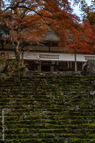 紅葉の高源寺
